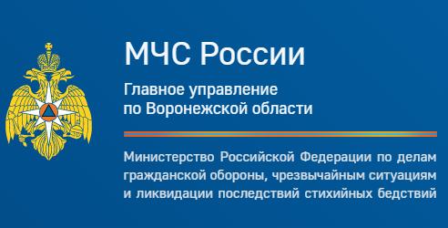ГУ МЧС России по Воронежской области информирует.